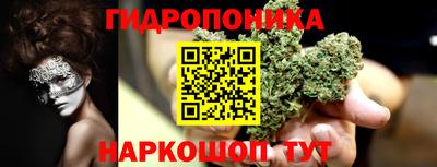 mdpv Кандалакша