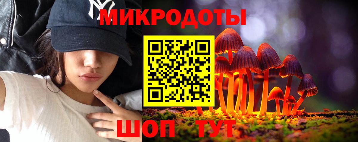 Галлюциногенные грибы прущие грибы Сертолово